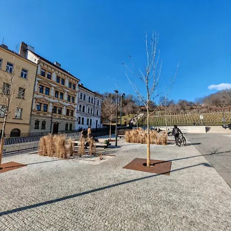 Flat In Zizkov -103- براغ