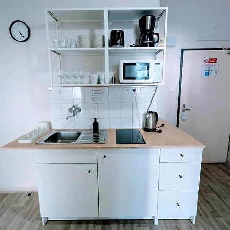 Flat In Zizkov -103- * براغ