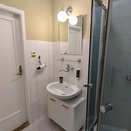 شقة Flat In Zizkov -103-